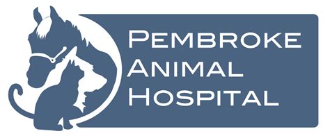 Pembroke animal hospital - Pembroke Animal Hospital is a veterinary clinic in Pembroke, Ontario that offers medical, surgical, nutritional and behavioural care for pets. It is the AAHA 2016 Practice of the …